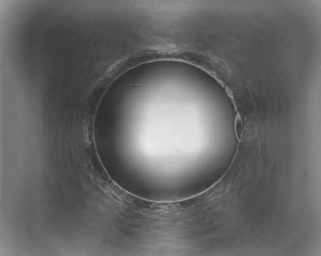 X0000073521205200608140951