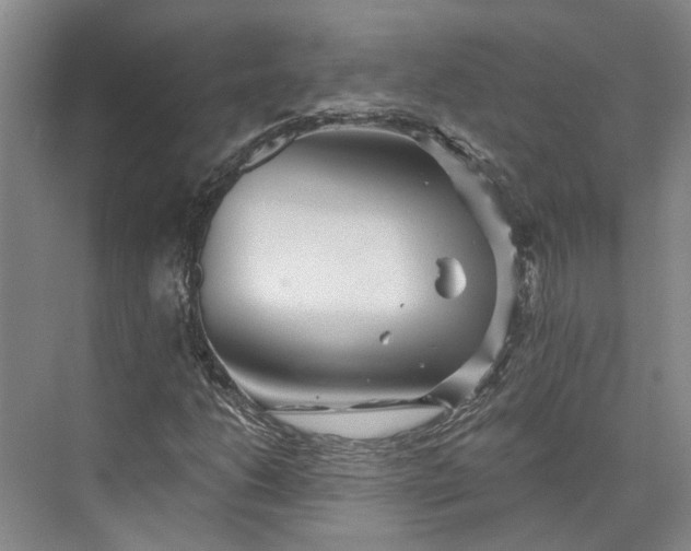 X0000073521206200608140951