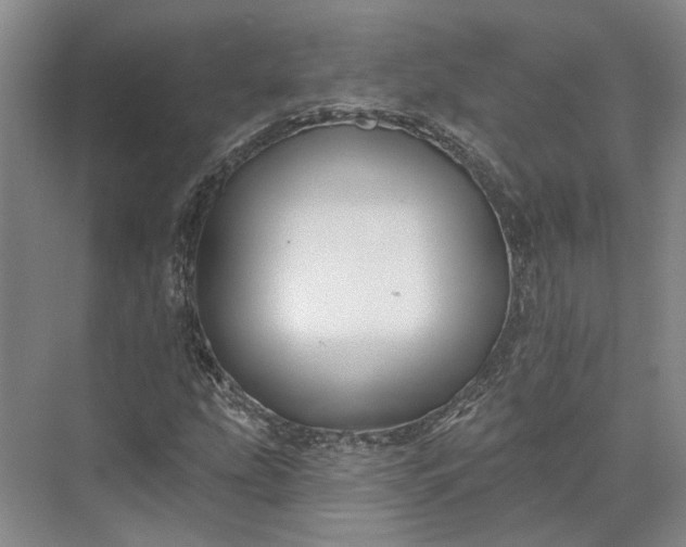 X0000073521207200608140951