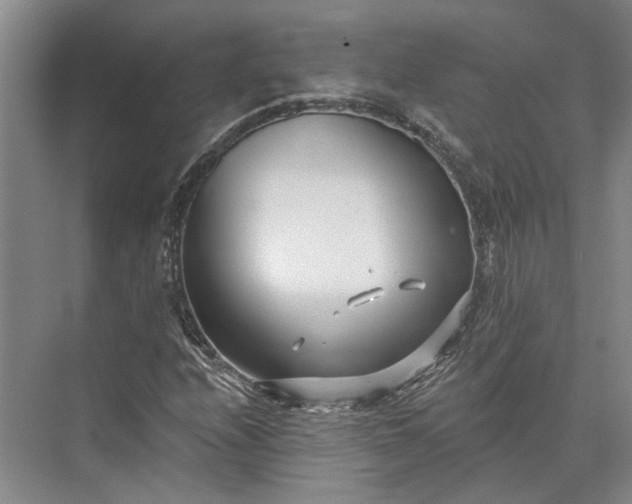 X0000073521208200608140951