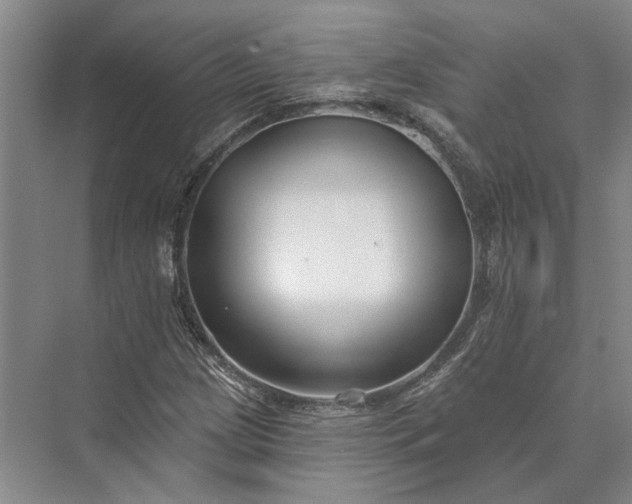 X0000073521209200608140951