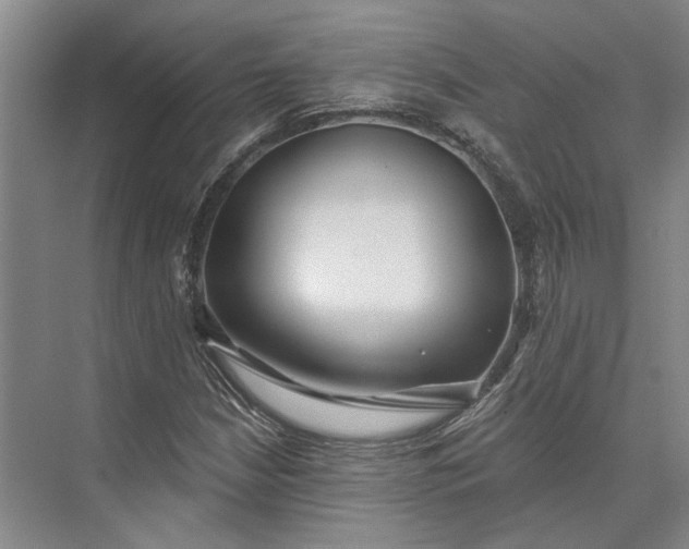 X0000073521210200608140951