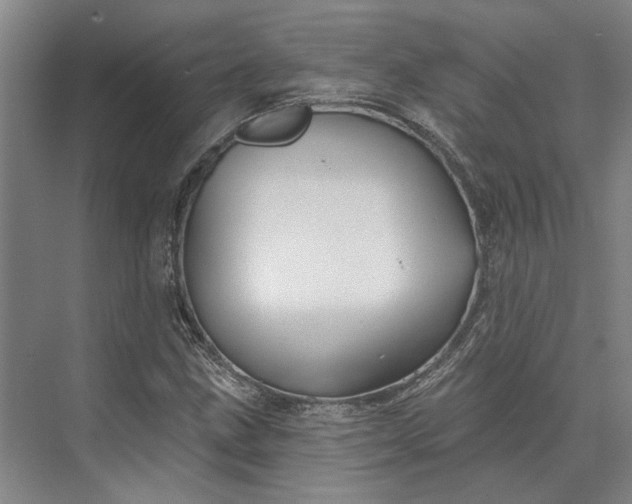 X0000073521211200608140951