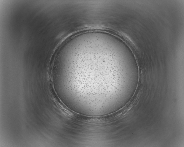 X0000073521212200608140951