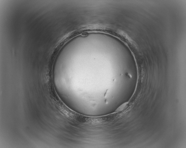 X0000073521213200608140951