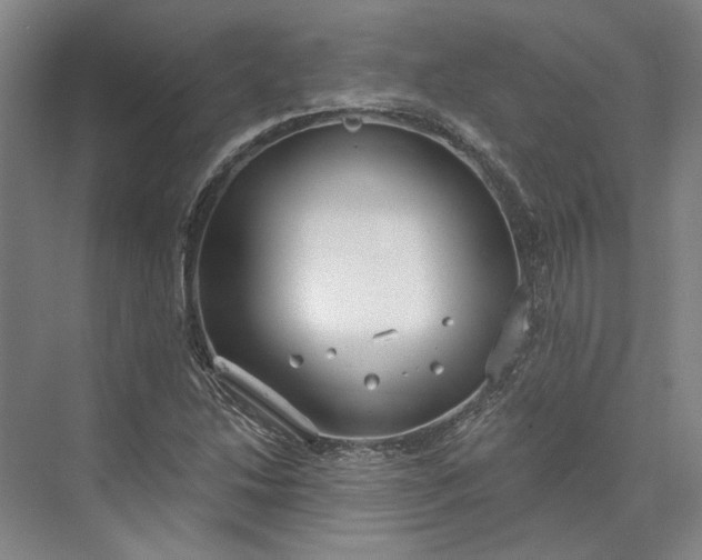 X0000073521214200608140951