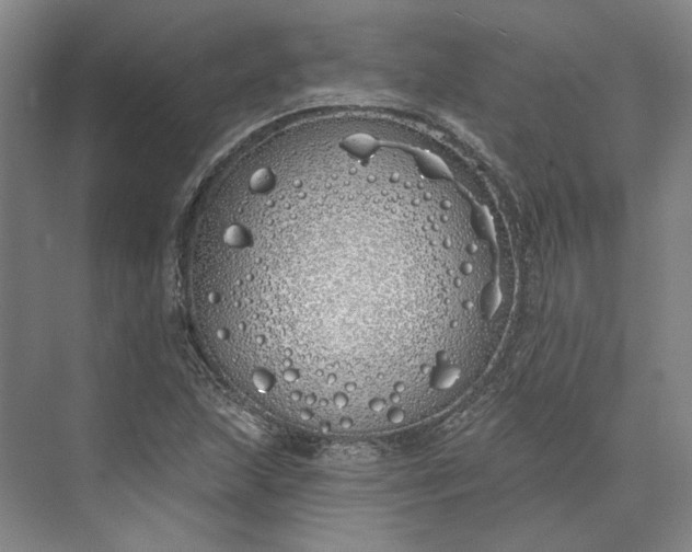 X0000073521215200608140951