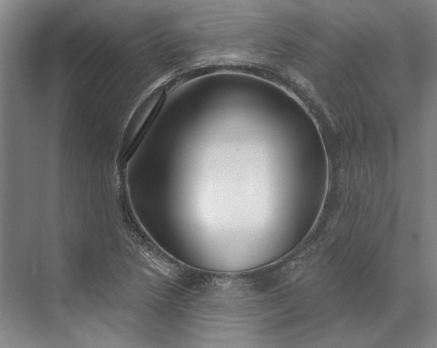 X0000073521218200608140951