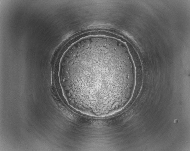 X0000073521219200608140951