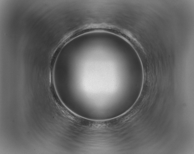 X0000073521221200608140951