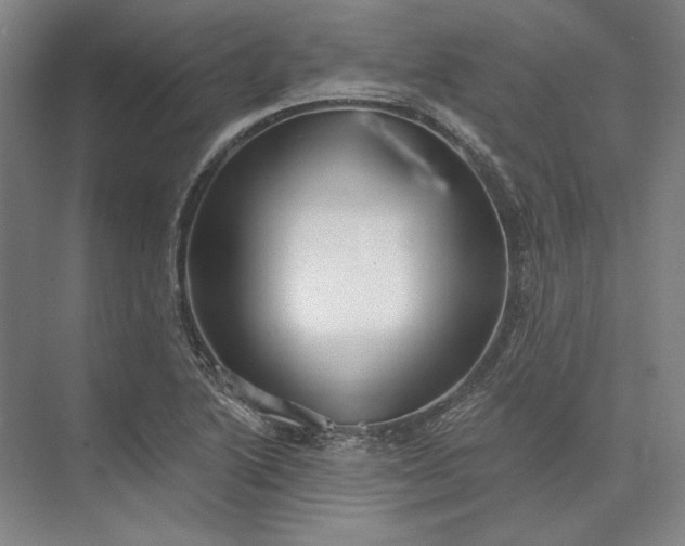 X0000073521222200608140951