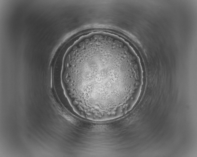 X0000073521223200608140951