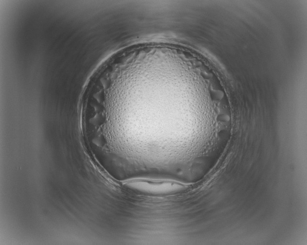 X0000073521224200608140951