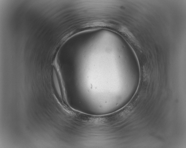 X0000073521225200608140951