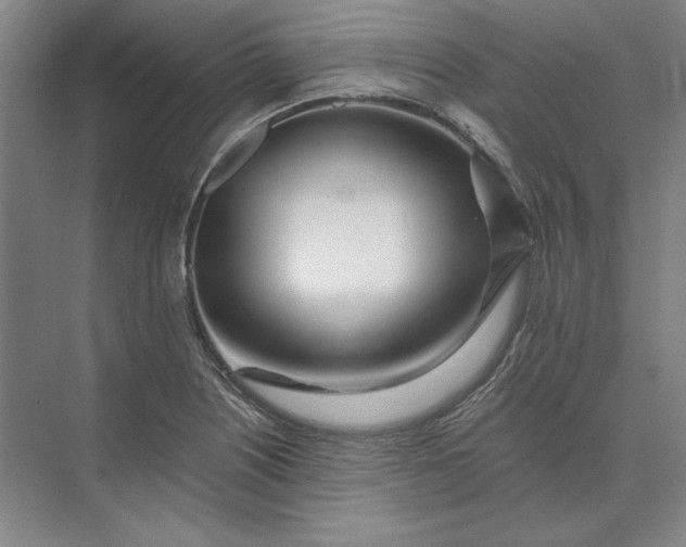 X0000073521226200608140951