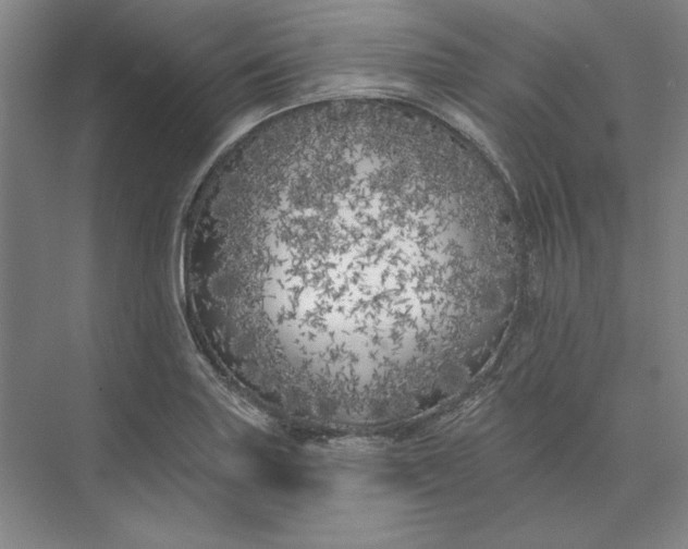 X0000073521227200608140951