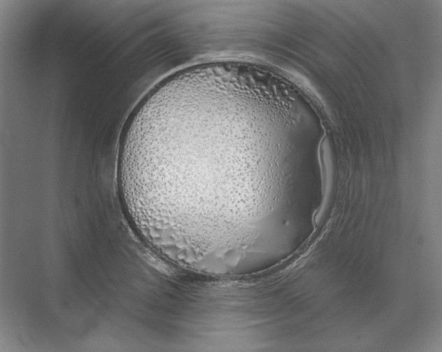 X0000073521228200608140951