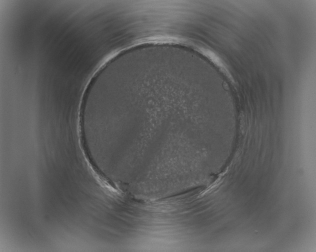 X0000073521229200608140951