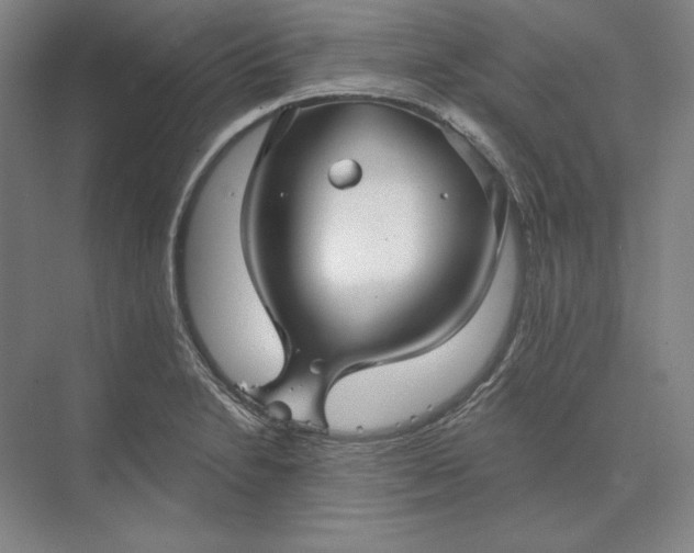 X0000073521230200608140952