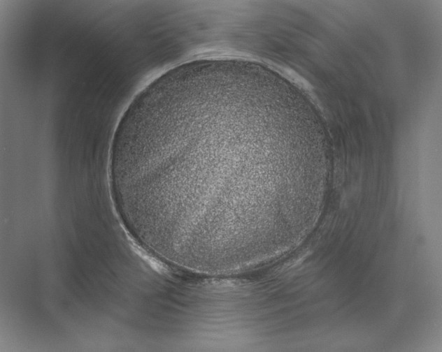 X0000073521231200608140952