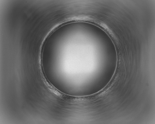 X0000073521232200608140952