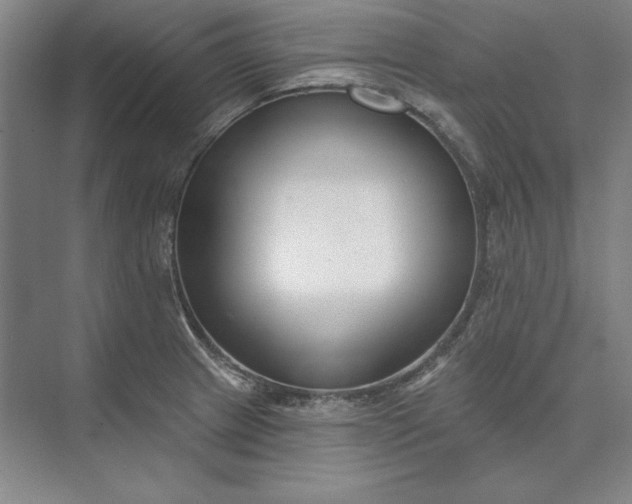 X0000073521233200608140952