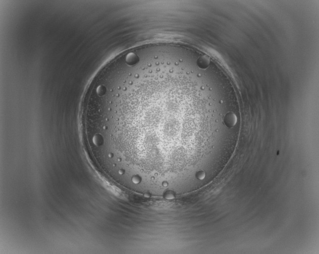 X0000073521235200608140952