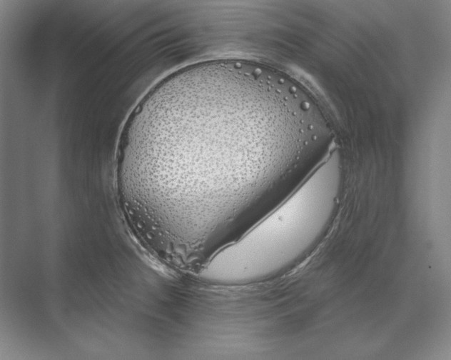 X0000073521236200608140952