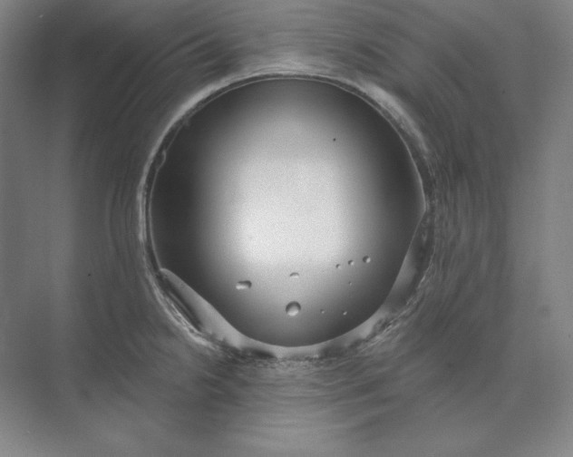 X0000073521238200608140952