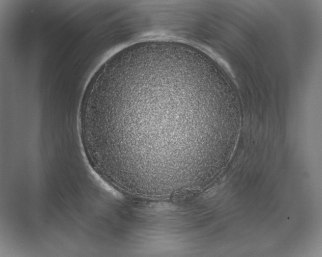 X0000073521239200608140952