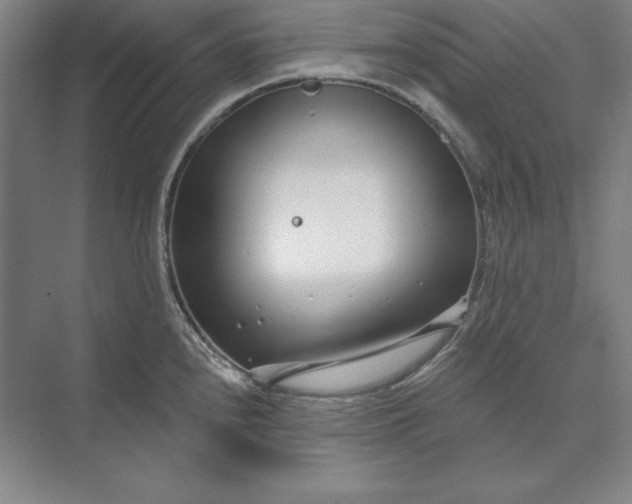 X0000073521240200608140952