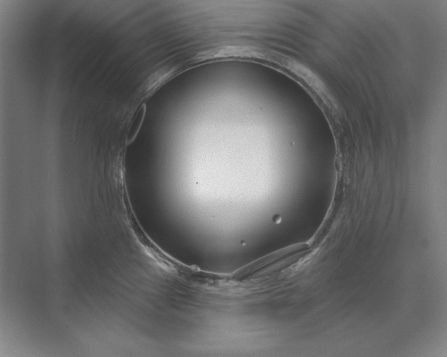 X0000073521241200608140952