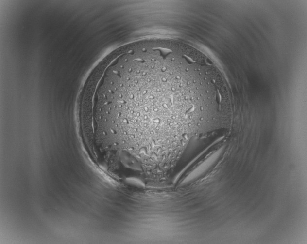 X0000073521243200608140952