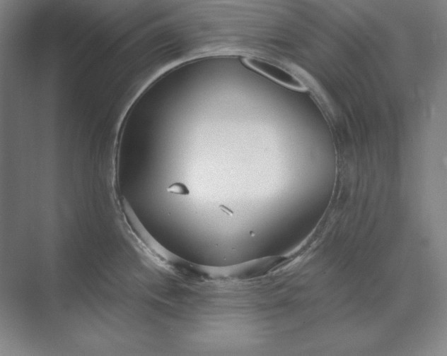 X0000073521244200608140952