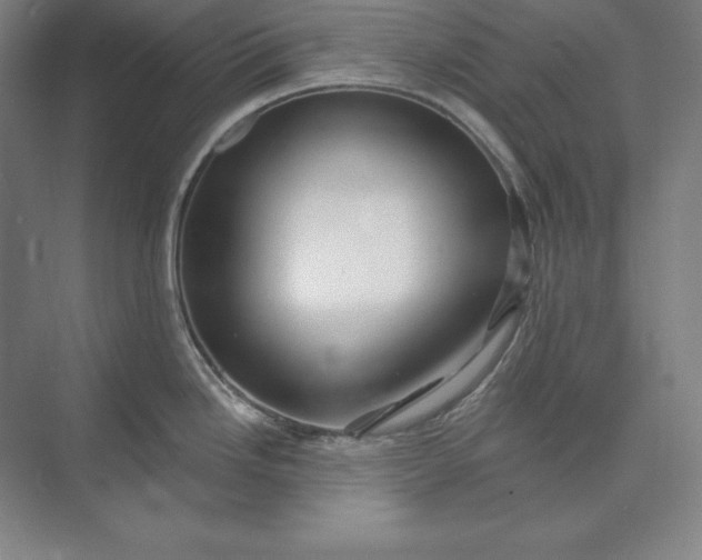 X0000073521246200608140952