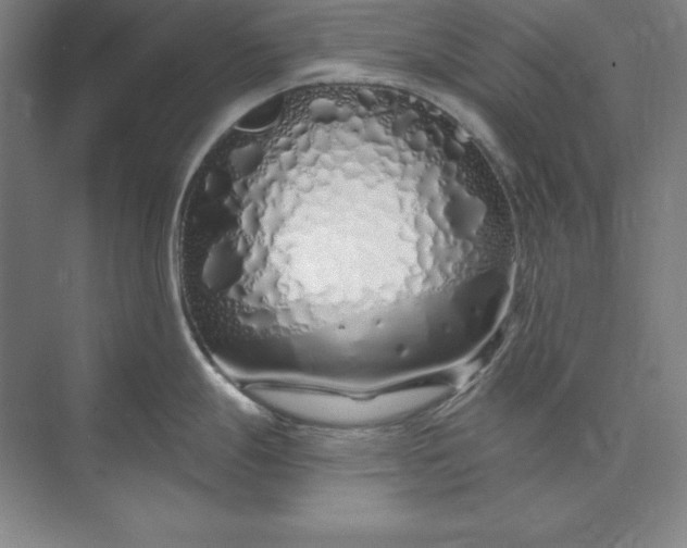 X0000073521247200608140952