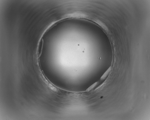 X0000073521248200608140952