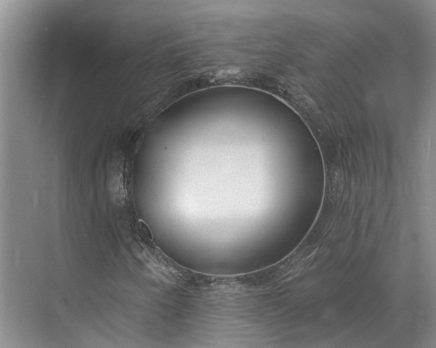 X0000073521250200608140951