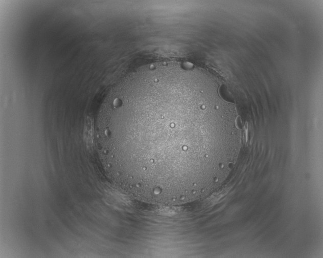 X0000073521251200608140951