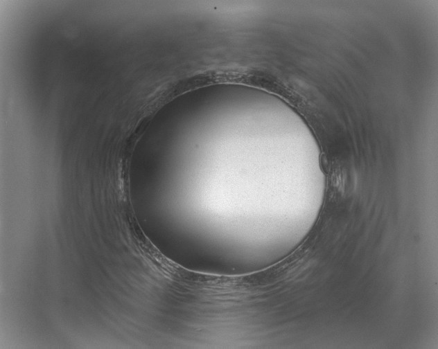 X0000073521252200608140951