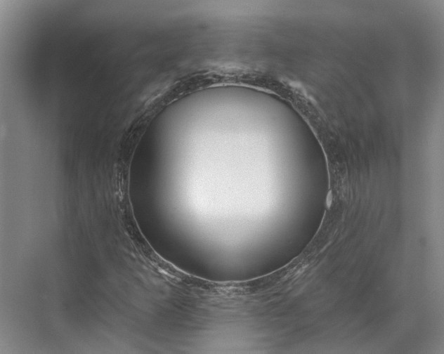 X0000073521253200608140951