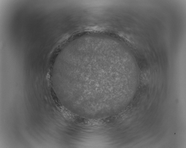 X0000073521254200608140951