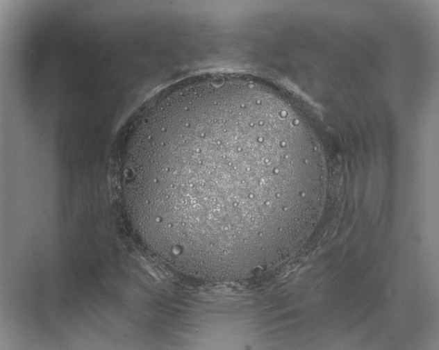 X0000073521255200608140951