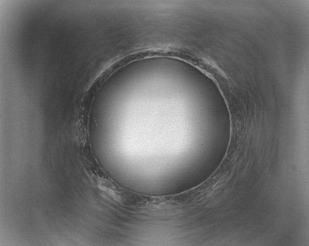 X0000073521256200608140951