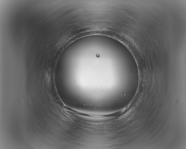 X0000073521257200608140951