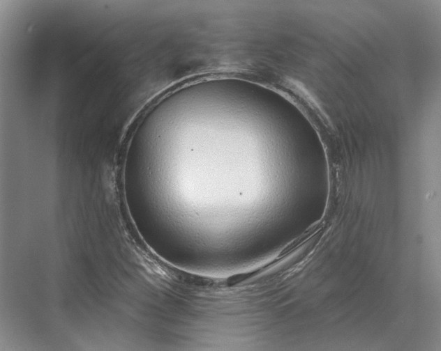 X0000073521260200608140951