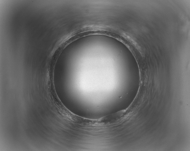 X0000073521261200608140951