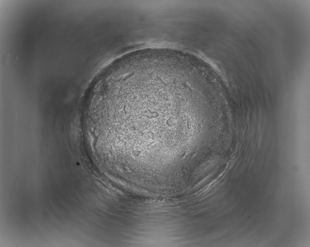 X0000073521263200608140951