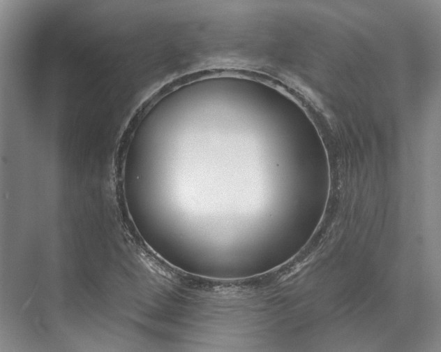 X0000073521264200608140951