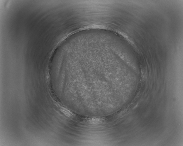 X0000073521266200608140951